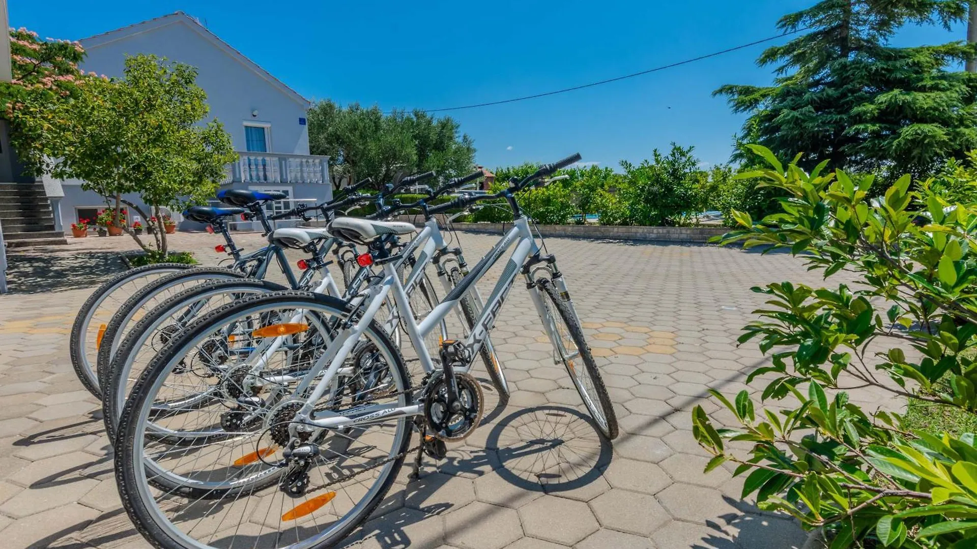 Feriehus Holiday House Lavanda Gornji Zemunik